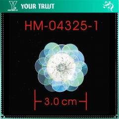 HM-04325-1